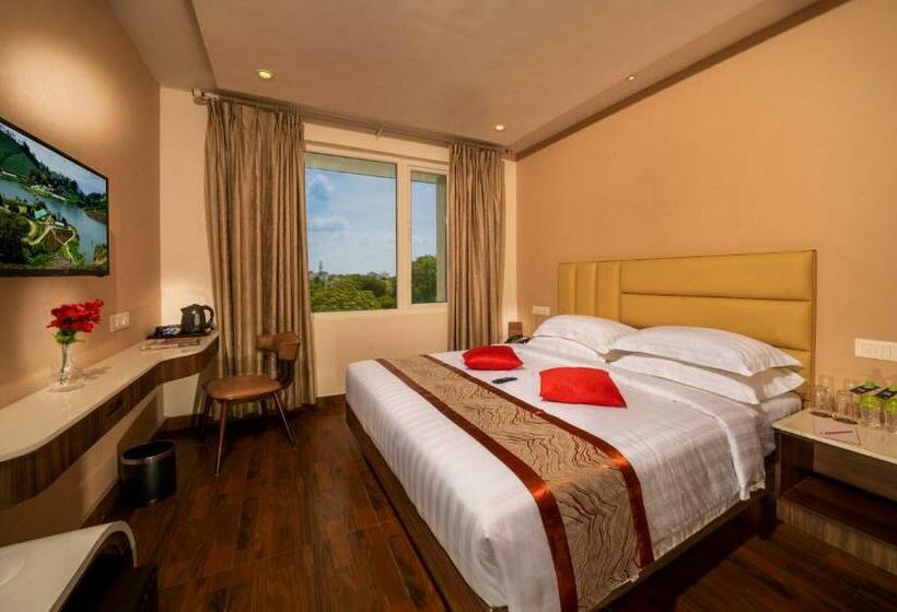 Quarto Estandar Individual, Msp Grands Inn