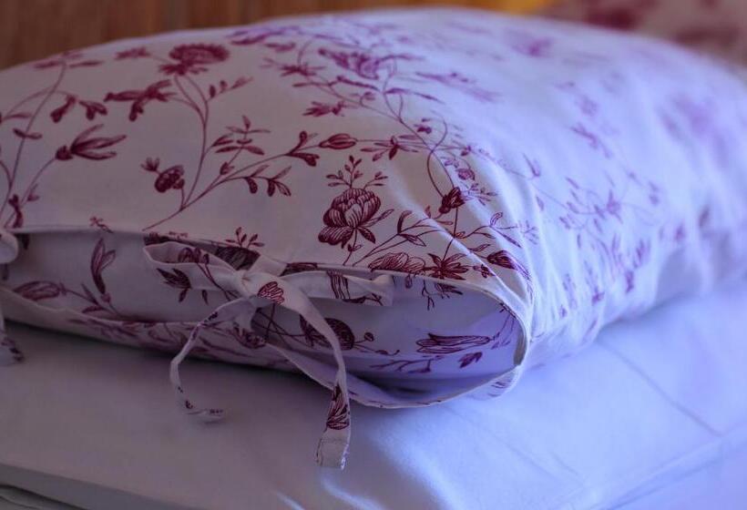 اتاق استاندارد چهار تخته, Villa Salvarezza