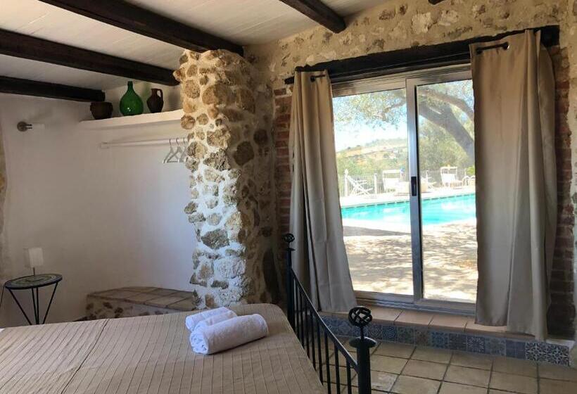 Family Suite, Roba Degli Ulivi