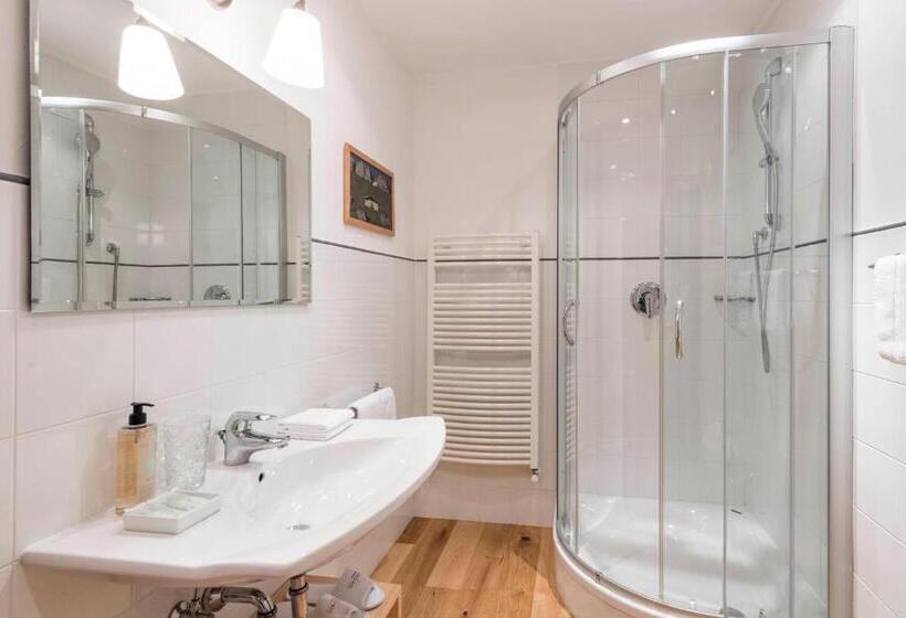 Апартаменты Superior 1 Спальня, Saleghes Dolomites Residence