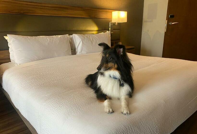 Стандартный Номер Кровать Кинг, Ac Hotel By Marriott Santa Fe