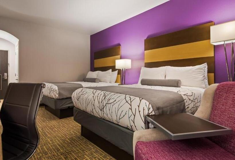 标准间, Best Western Plus Buda Austin Inn & Suites