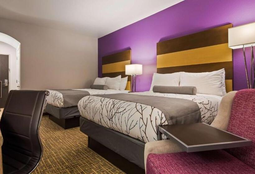 标准间, Best Western Plus Buda Austin Inn & Suites