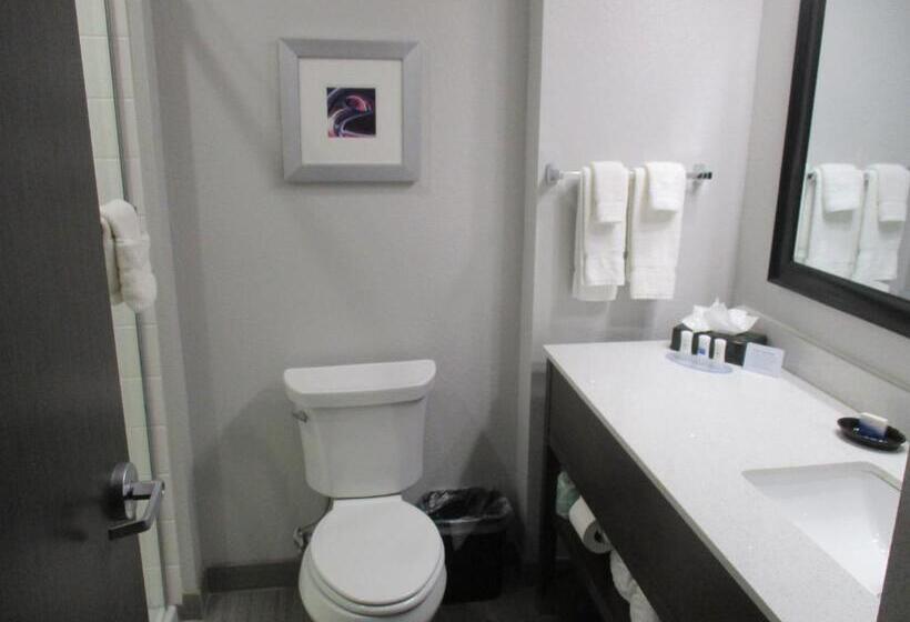 带大床的标准间, Best Western Plus Buda Austin Inn & Suites