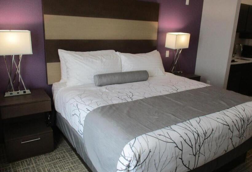 带大床的标准间, Best Western Plus Buda Austin Inn & Suites