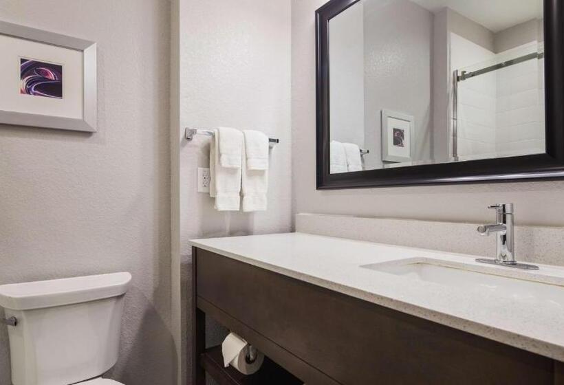 带大床的标准间, Best Western Plus Buda Austin Inn & Suites