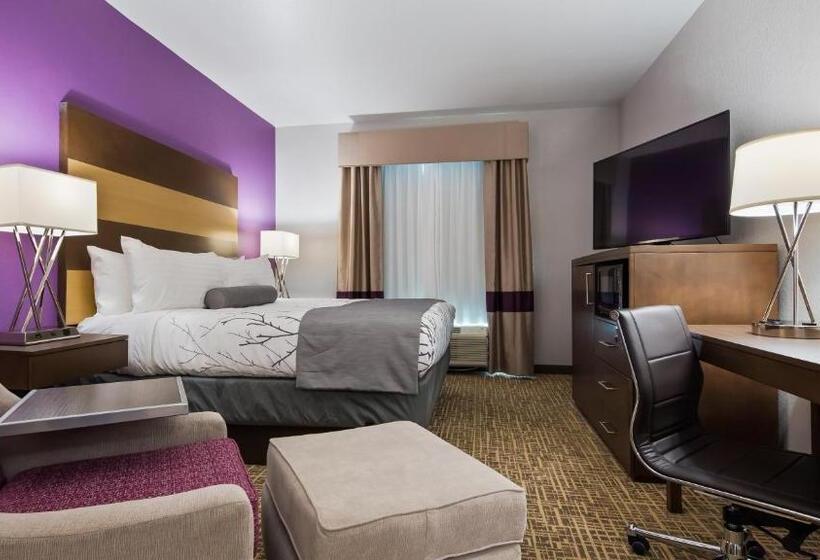 适合残疾人士使用的带超级大床的标准间, Best Western Plus Buda Austin Inn & Suites