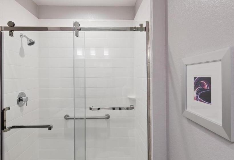 适合残疾人使用的标准间, Best Western Plus Buda Austin Inn & Suites