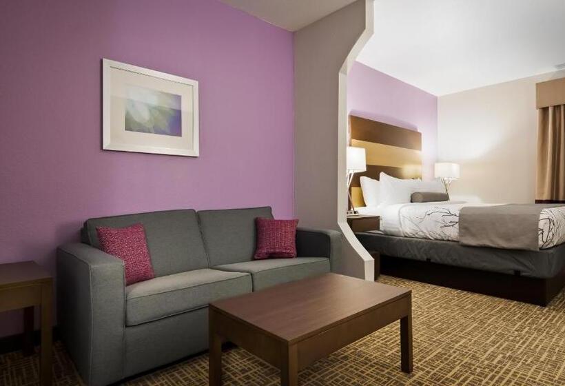 סוויטה מותאמת לאדם עם מוגבלויות, Best Western Plus Buda Austin Inn & Suites
