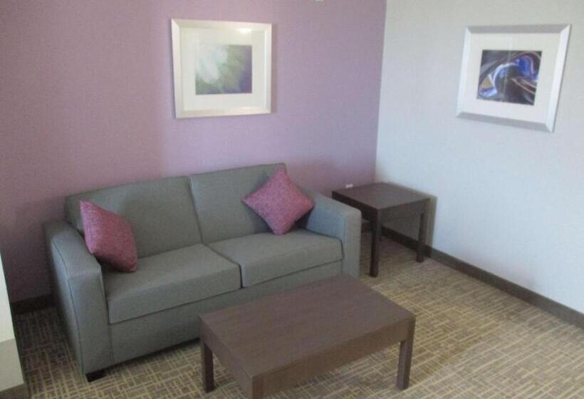 סוויטה מותאמת לאדם עם מוגבלויות, Best Western Plus Buda Austin Inn & Suites