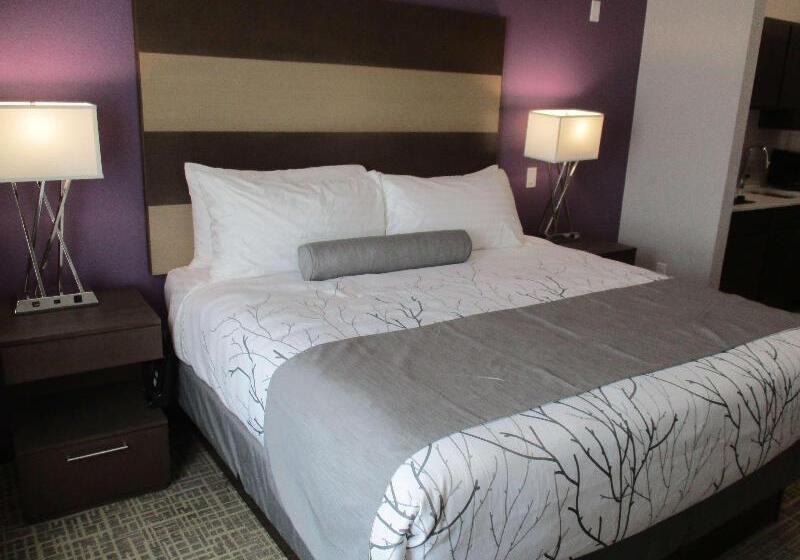 带大床的套房, Best Western Plus Buda Austin Inn & Suites