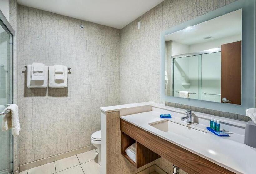 Номер Стандарт, Holiday Inn Express & Suites Platteville, An Ihg