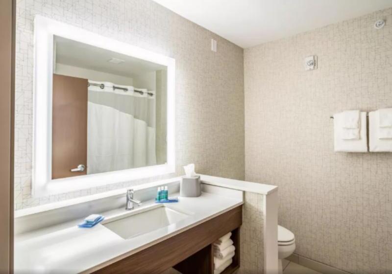 Номер Стандарт Адаптированный для Инвалидов, Holiday Inn Express & Suites Platteville, An Ihg