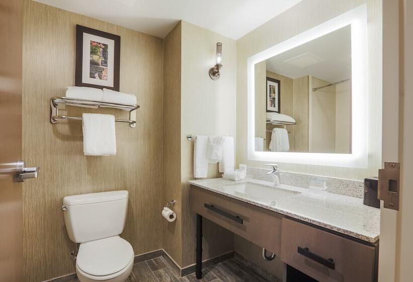 适合残疾人士使用的套间, Homewood Suites By Hilton Charleston Historic District