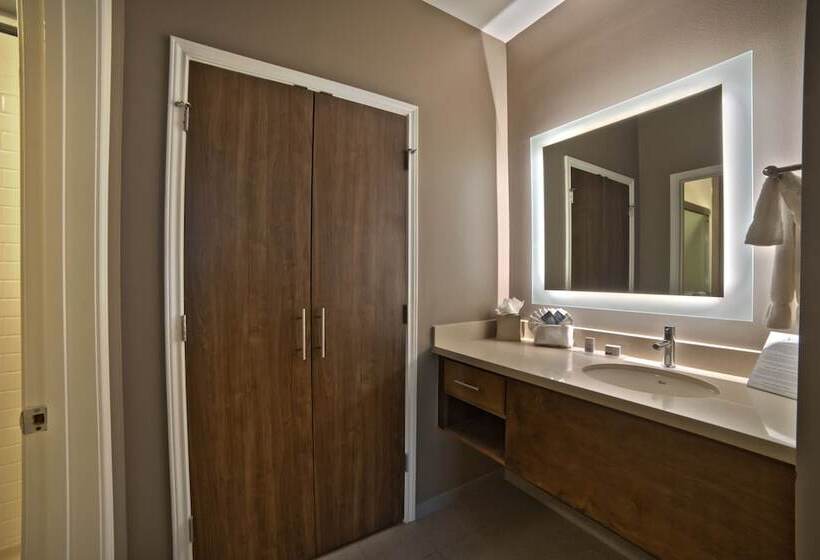 ２ベッドスイートルーム, Staybridge Suites Houston   Humble Beltway 8 E, An Ihg