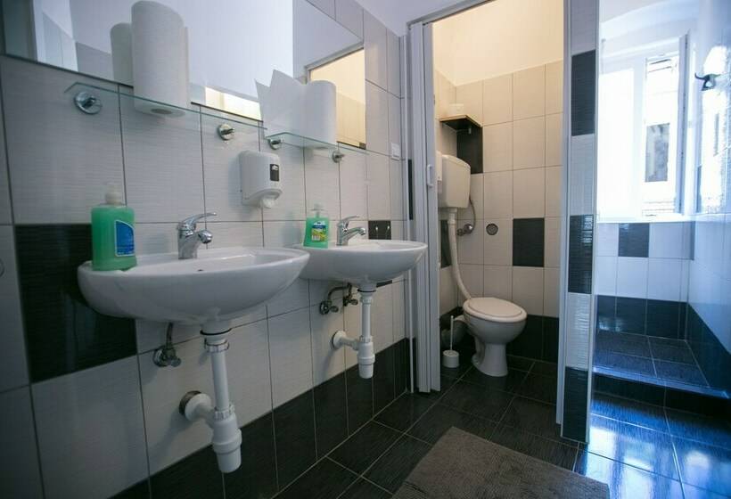 اتاق استاندارد یک تخته با سرویس بهداشتی مشترک, Hostel Morcic