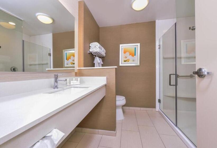 Стандартный Номер Кровать Кинг, Fairfield Inn & Suites By Marriott Coralville