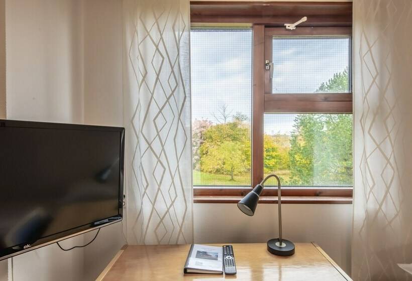Номер Стандарт Индивидуальный, Västerbacken Hotell & Konferens