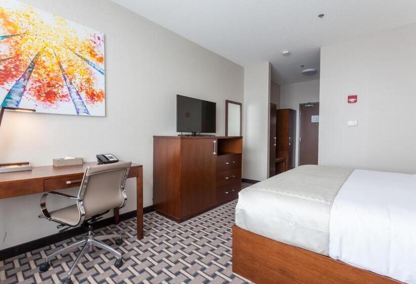 Номер Superior Кровать Кинг, Wyndham Garden Edmonton Airport