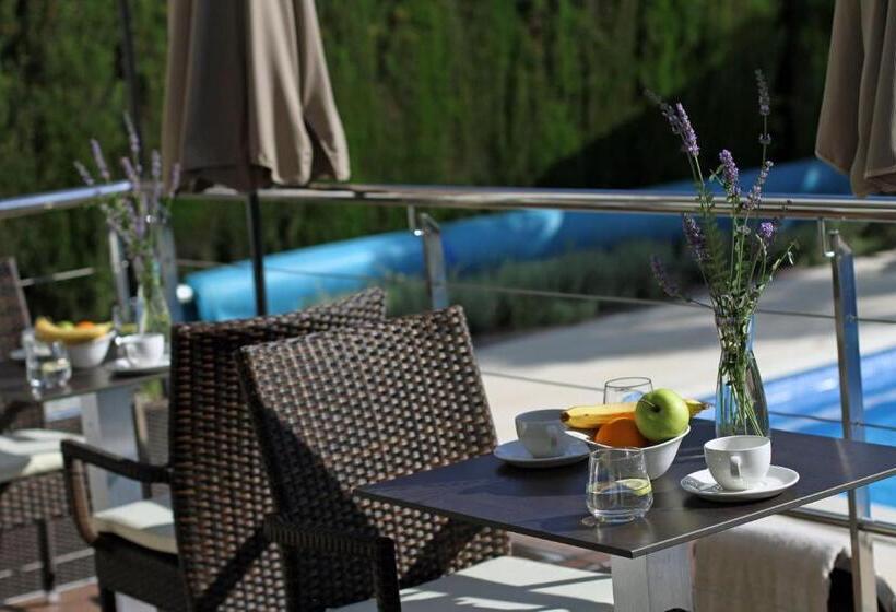 Номер Стандарт с Балконом, Rooms Villa Oasiss