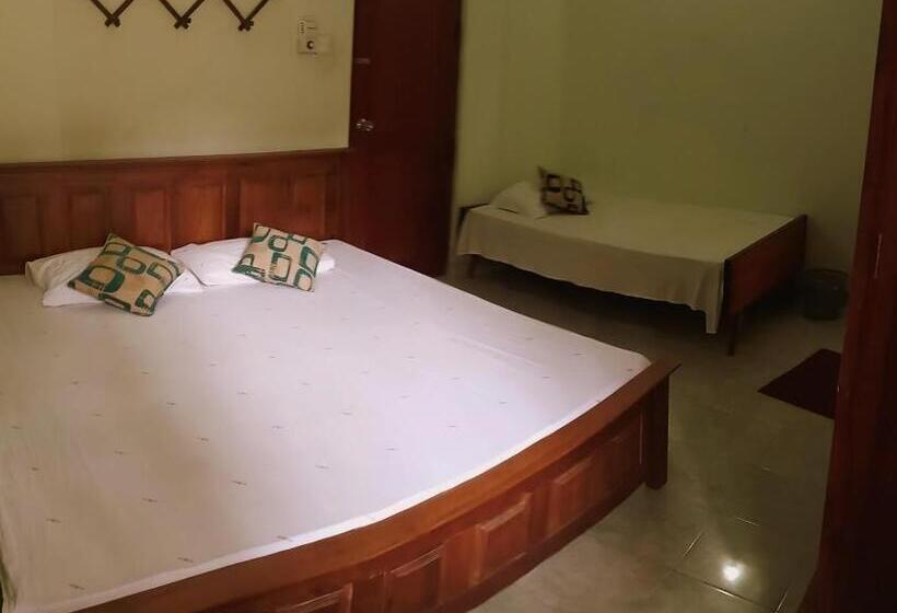اتاق لوکس, Staykandy