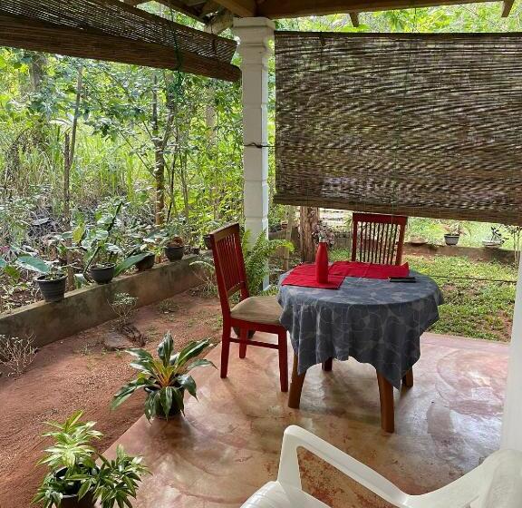 Четырехместный Номер Стандарт, Thilina Homestay