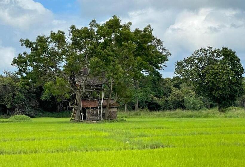 Четырехместный Номер Стандарт, Thilina Homestay