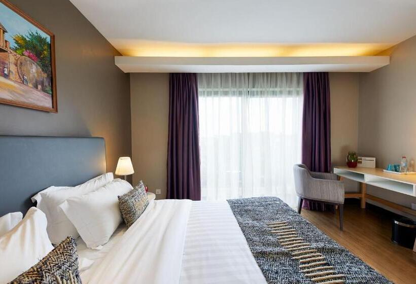 اتاق استاندارد, San Cristobal Boutique Hotel   Ivato Airport