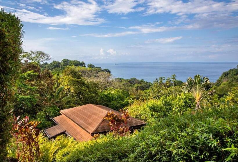 Вилла 1 Спальня Вид на Море, Tiki Villas Rainforest Lodge   Adults Only