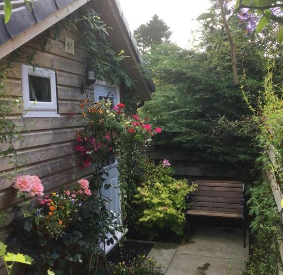 Номер Deluxe, Angel Cottage
