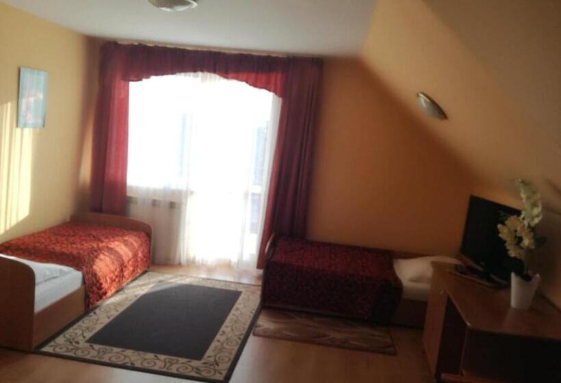 اتاق استاندارد سه نفره, Grodzki