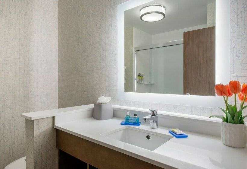 Standart Oda, Holiday Inn Express & Suites Alachua   Gainesville Area, An Ihg