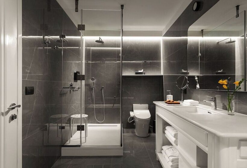 اتاق لوکس, Debaines Hotel Santiago