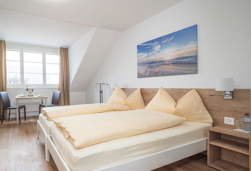 스탠다드 스튜디오, Aparthotel Bären