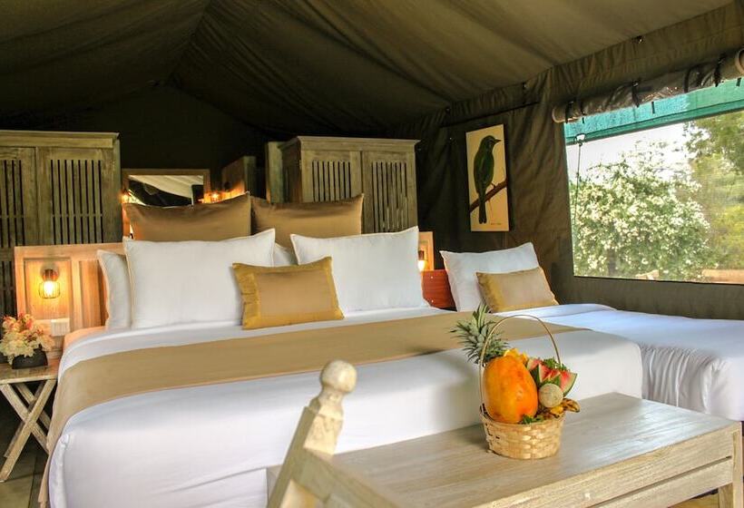 豪华三人间, Flameback Eco Lodge