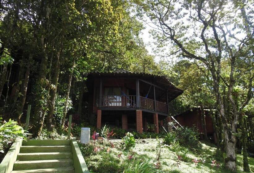 Bangalô Standard, Heliconias Rainforest Lodge
