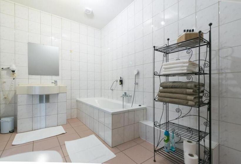 Четырехместный Номер Стандарт, Auberge De La Lesse
