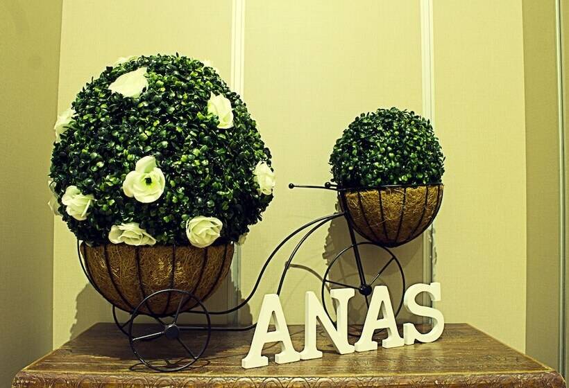 标准间, Hostal Anas