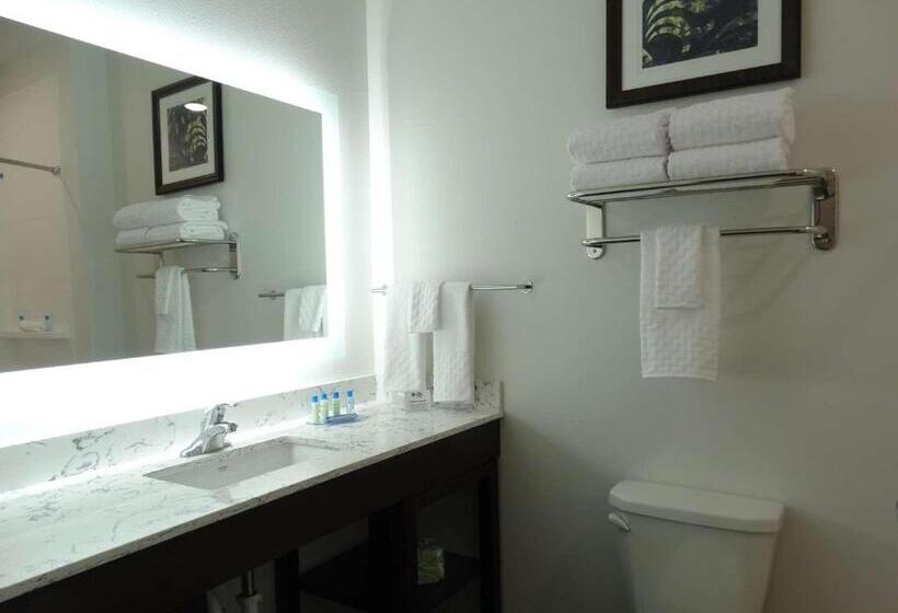 Номер Стандарт, Best Western Plus New Richmond Inn & Suites