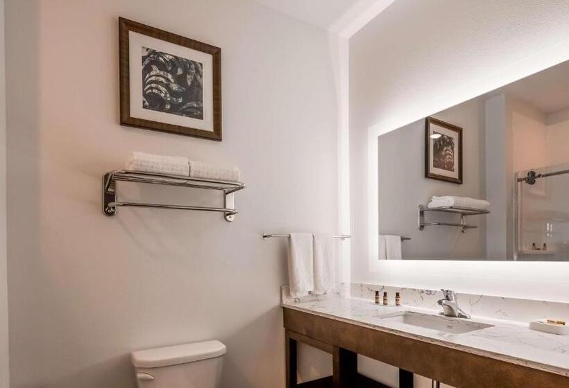 Номер Стандарт, Best Western Plus New Richmond Inn & Suites