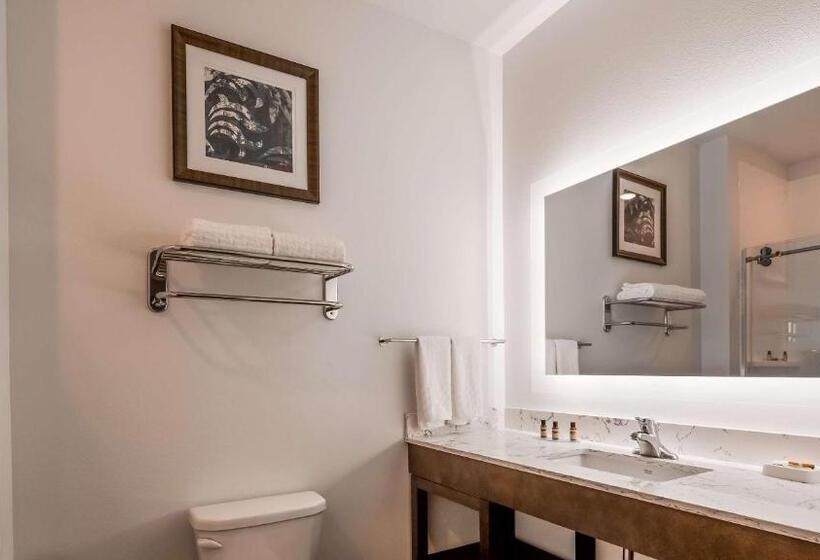Стандартный Номер Кровать Кинг, Best Western Plus New Richmond Inn & Suites