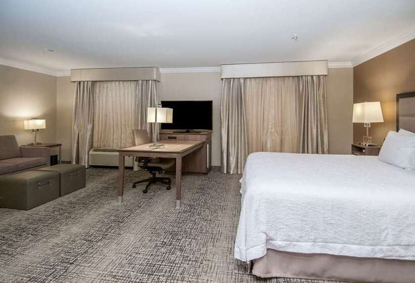 스탠다드 룸 킹사이즈 침대, Hampton Inn & Suites Rocky Hillhartford South