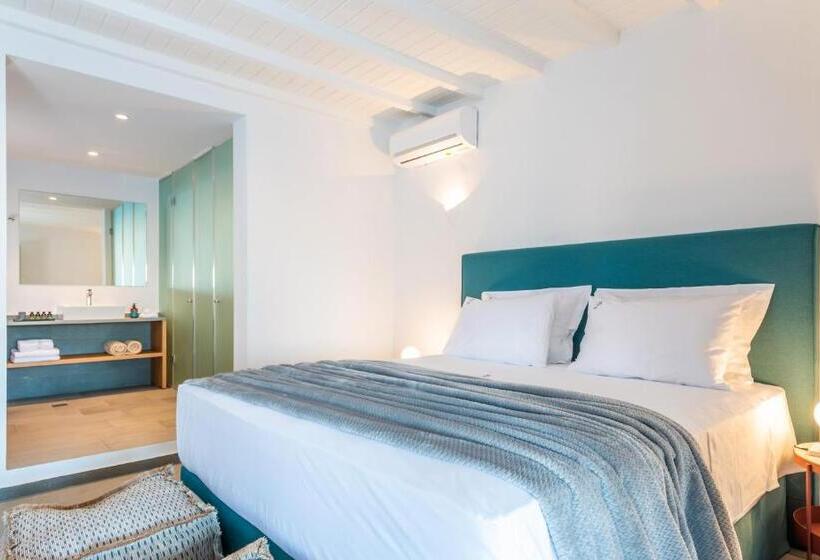 Вилла с 1 спальней и бассейном, Dreambox Mykonos Suites