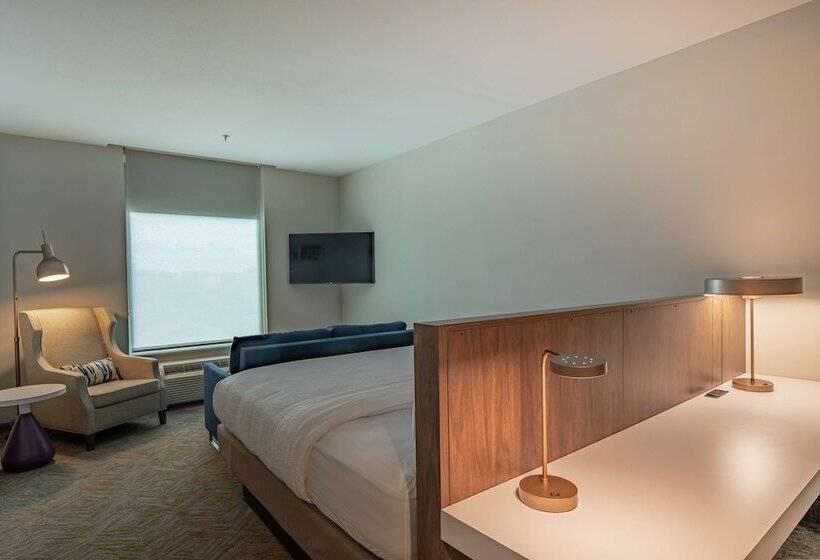 Номер Премиум, Hilton Garden Inn Dallas  At Hurst Conference Center