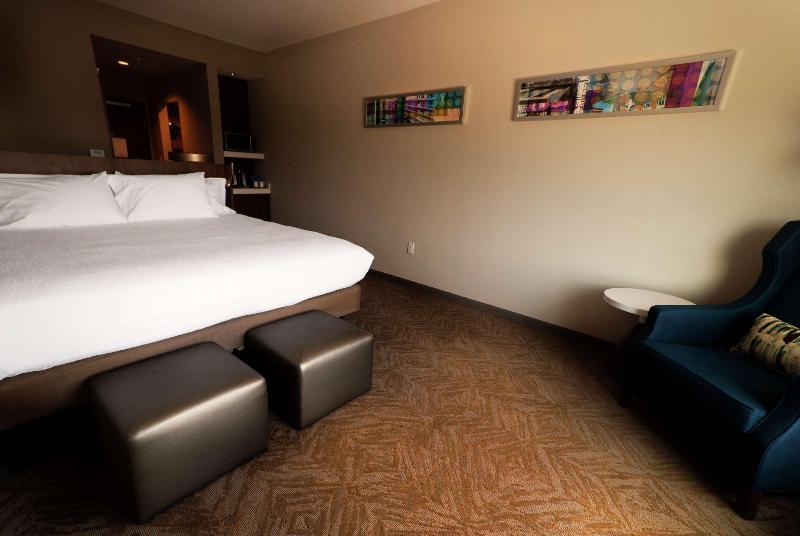 Стандартный Номер Кровать Кинг, Hilton Garden Inn Dallas  At Hurst Conference Center