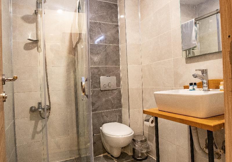 Номер Премиум, Hilton Garden Inn Dallas  At Hurst Conference Center