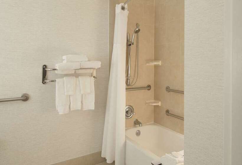 Chambre Standard Adaptée aux Personnes à Mobilité Réduite, Hilton Garden Inn Houston Hobby Airport, Tx
