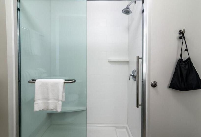 Люкс, Holiday Inn Express & Suites Allen Park, An Ihg