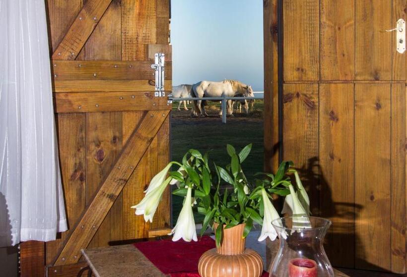 Четырехместный Номер Стандарт Вид на Море, Tniqua Stable Inn