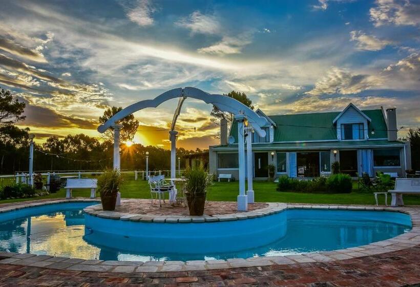 Четырехместный Номер Стандарт Вид на Море, Tniqua Stable Inn